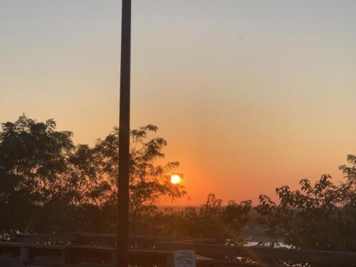 A-Day-by-Michael-Whitley