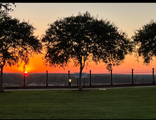 After-the-Sunshine-by-Ollie-Thomas