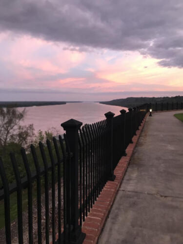 Beautiful-way-to-start-a-day-by-Tammy-Wilson