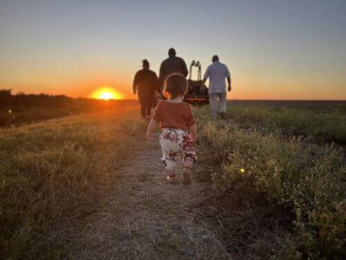 Chasing-by-Sabrina-Robertson