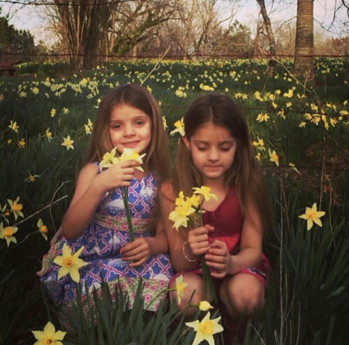 Darlings-in-Daffodils-by-Tracy-Kent
