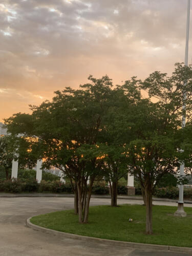 Deloress-view-by-Delores-Whitley