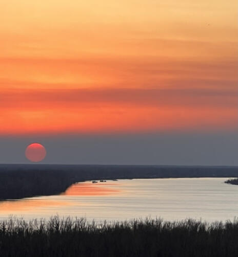 February-by-Mary-Seni