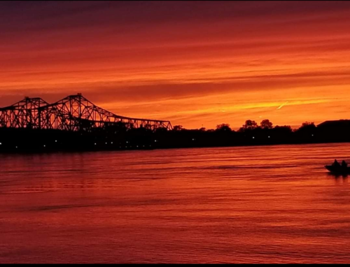 Fire-in-the-Sky-by-Chris-Jackson