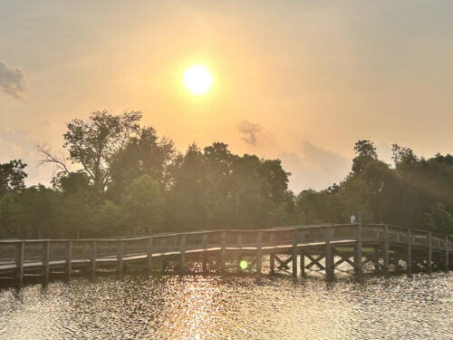 Fishing-dock-by-Oneka-Wilson