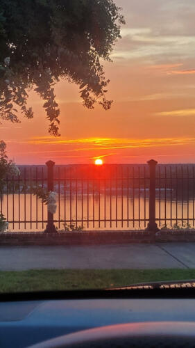 Forever-Beautiful-by-Rita-Riggins