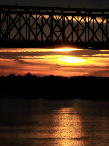 Gods-Handiwork-by-Tim-McDowell