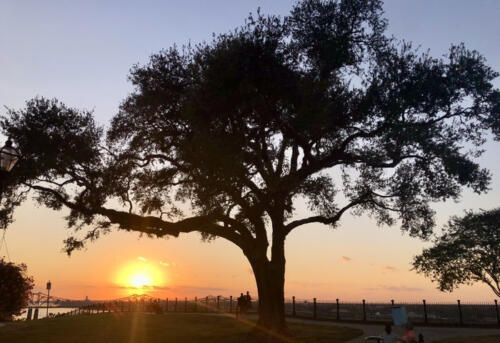 Golden-Glow-over-the-Bluff-by-Becky-Sherman