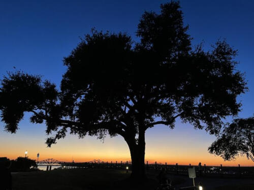 Goodbye-Sunset-by-Becky-Sherman