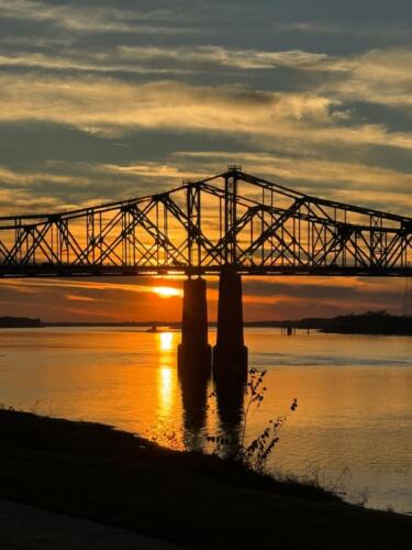 Goodnight Sun by Rebecca Carlisle