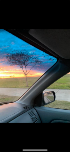 Joy-and-Happiness-by-Delores-Whitley