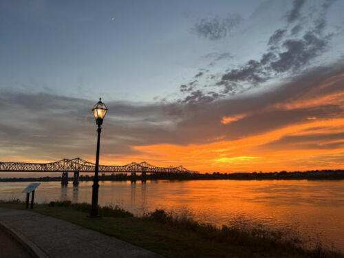 Leisurely-Stroll-by-Vanessa-Ealey