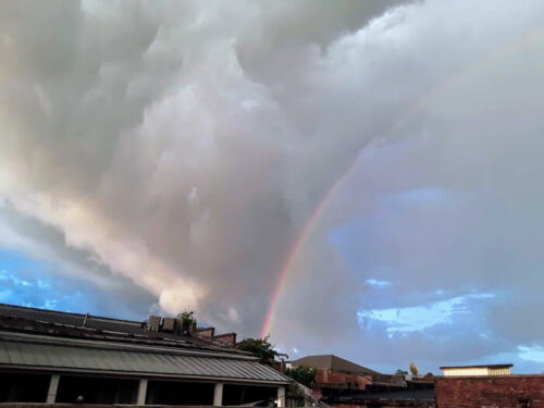 Light-In-The-Storm-by-Jena-Warriner