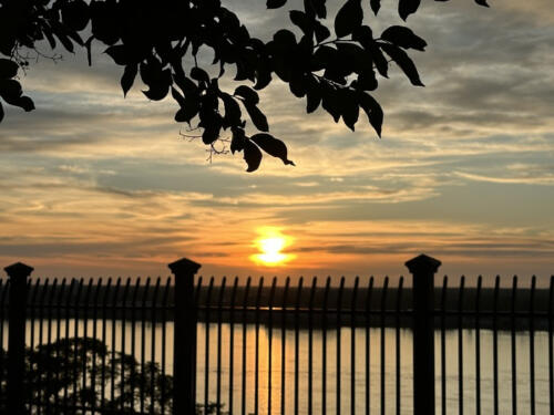 Live-@-5-bonus-by-Dianne-Brown