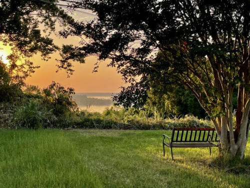 Look-at-that-by-Lawrence-Davis