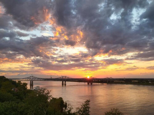 MS-Gold-by-Hannah-Durkin