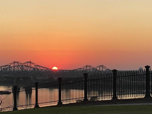 Miss-Lou-gold-by-Stephanie-Cox