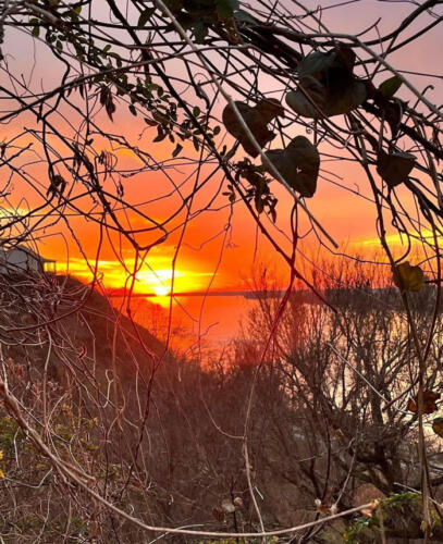 My-Heart-Will-Go-On-by-Lynne-Edwards