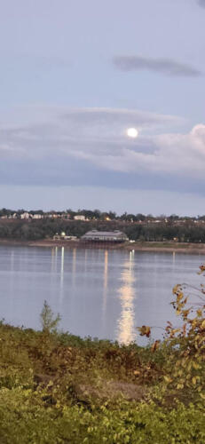 Natchez-Beautiful-by-Makiyah-Jackson