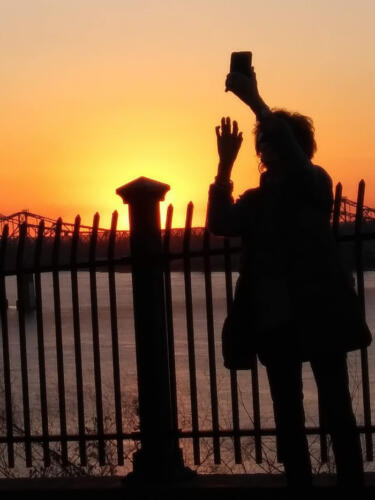 Nuf-Said-by-Joan-Thibaut