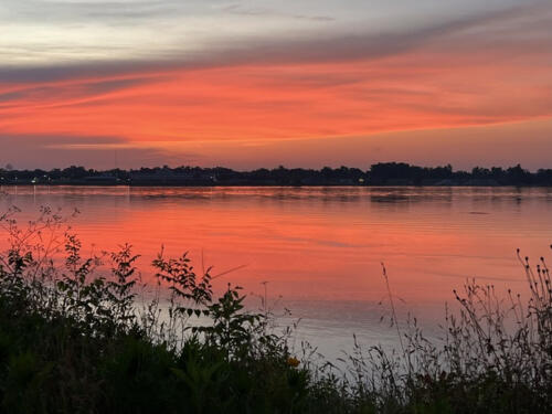 Only-at-Natchez-by-Sal-Durkin