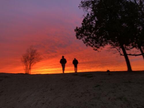 Over-the-Hill-by-Susan-Bryan