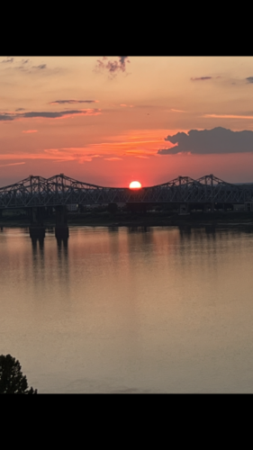 Paradise-in-Natchez-by-Tammy-Wilson