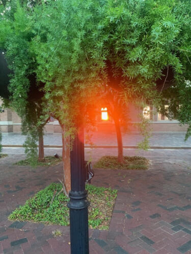 Peeking-thru-the-Train-Window-by-Delores-Whitley