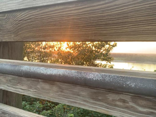 Photo-3-by-Delores-Whitley