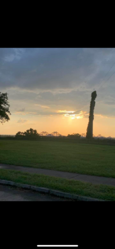 Pillar-of-the-MissLou-by-Delores-Whitley