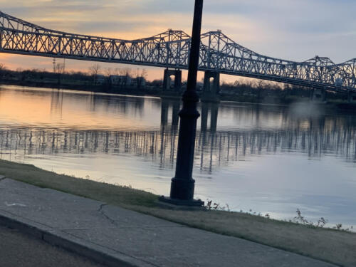 Pretty-lines-by-Delores-Whitley