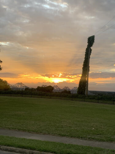 Queen-Lady-out-for-a-Walk-the-sun-setting-by-Delores-Whitley