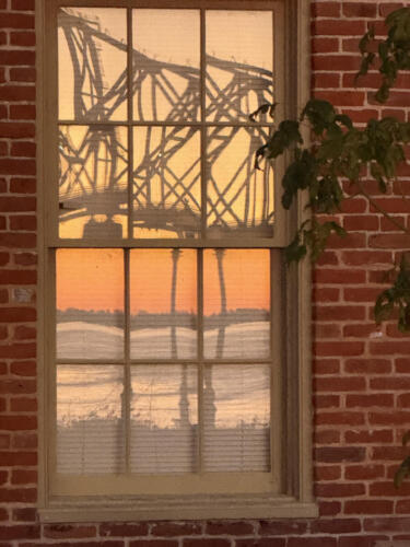 Reflection-by-Brenda-Todoroff (1)