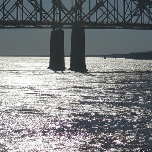 River-bridge-gazing-by-Edris-Johnson