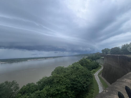 Rolling-in-by-Sandra-Smith