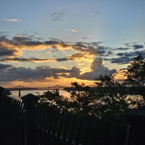 Shadows-by-Michelle-Tebow