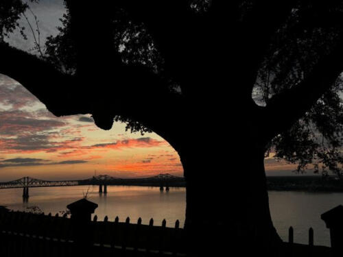 Something-in-the-Orange-by-Kaysee-Brabb