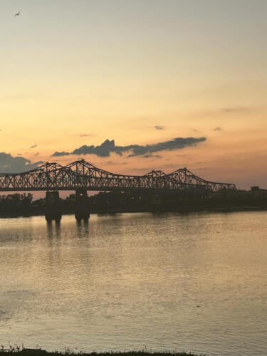 Sun-of-September-by-Brenda-Cook