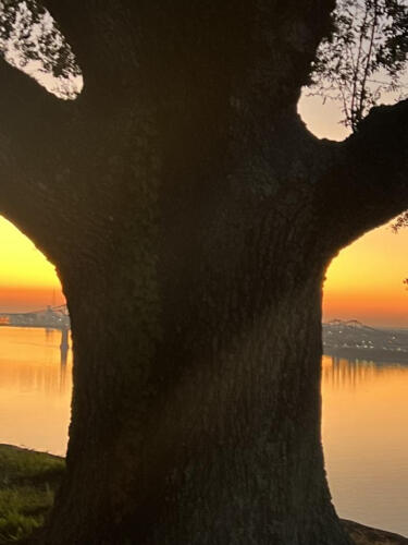 Thanksgiving-on-the-bluff-by-Sally-Bartolameolli