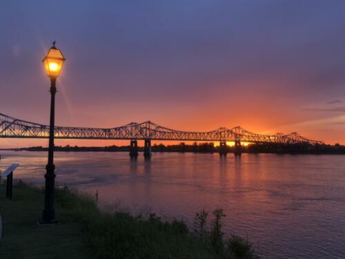 The-Evening-Walk-by-Lisa-Stroud