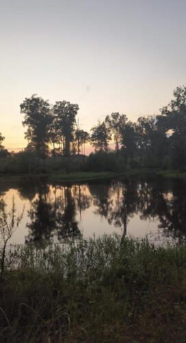 The-Fishing-Hole-by-Rebecca-Tenner