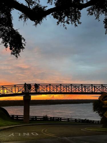 The-Girl-and-Her-Pet-In-The-Clouds-by-Sharonda-Rogers