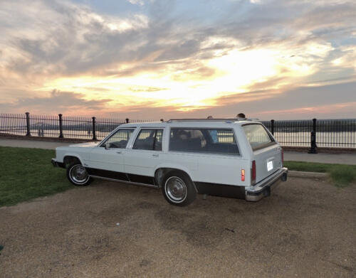 Timeless-by-Amy-Mcdonald