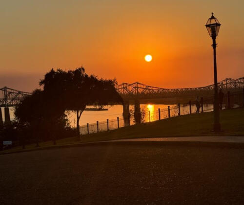 Top-of-the-Hill-by-Alexandra-Barfield