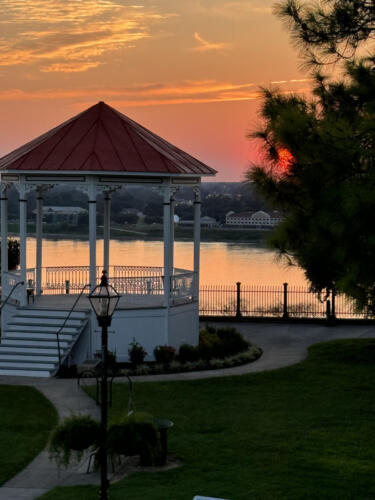 Tree-limb-holding-the-sun-by-Rebecca-Carlisle