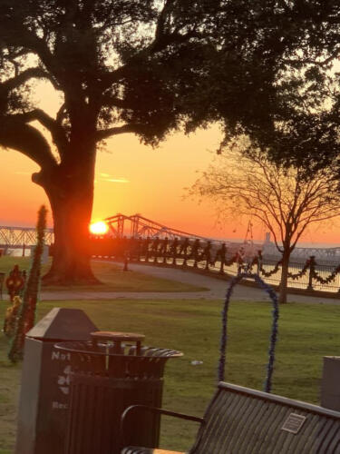 TreesunBridge-tangent-by-Delores-Whitley