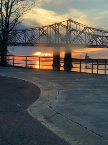 UTH-scene-by-Delores-Whitley