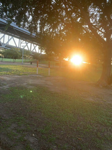 Vidalias-View-by-Delores-Whitley