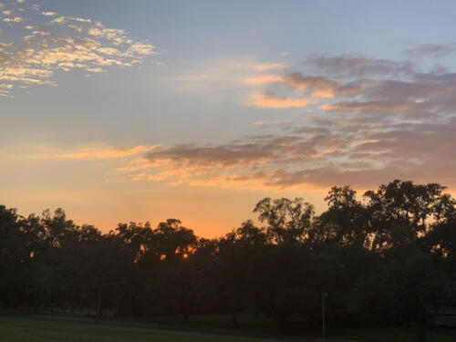 Winner-by-Dee-Whitley1