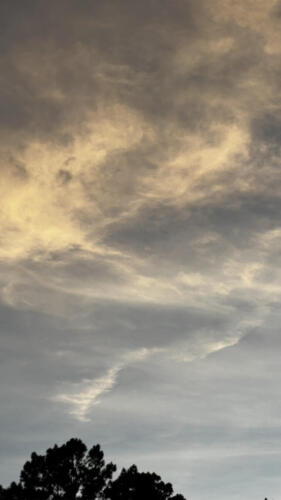 Wisp-by-Maximilian-Bartha